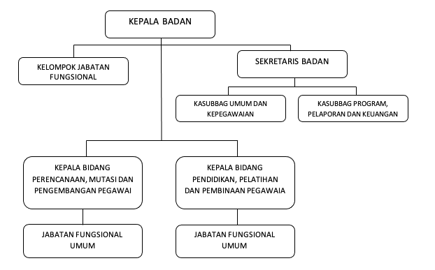 Struktur Organisasi - BKPSDM